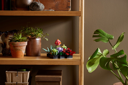 LEGO® 10309 Succulents