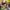 LEGO® Icons The Lord of the Rings™: Rivendell™
