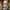 LEGO® Icons The Lord of the Rings™: Rivendell™