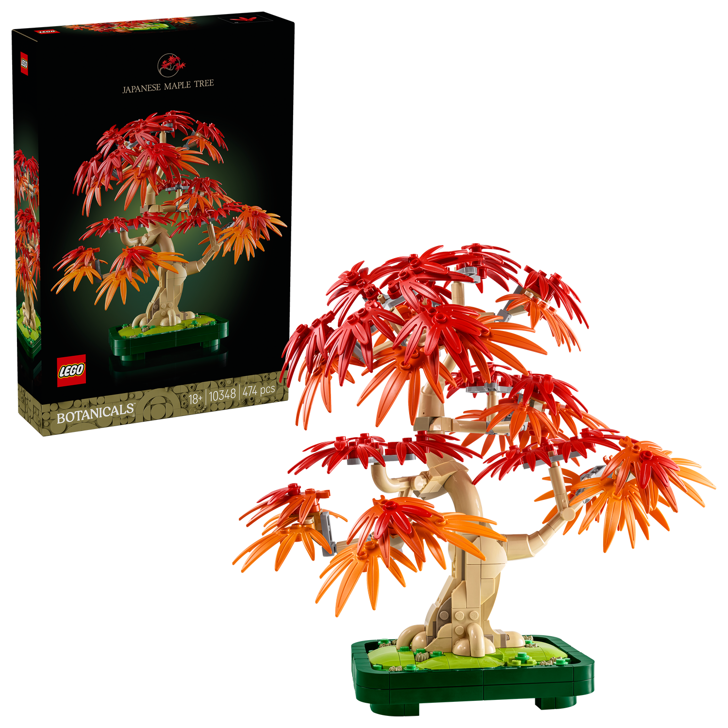 LEGO® Botanicals Japanese Red Maple Bonsai Tree