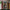 LEGO® ICONS Sherlock Holmes: Book Nook