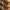 LEGO® Icons The Lord of the Rings: The Shire™