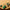 LEGO® Icons The Lord of the Rings: The Shire™