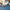 LEGO® Icons Star Trek: U.S.S. Enterprise NCC-1701-D™