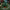 LEGO® Icons Holiday Express Train