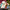 LEGO® Icons Holiday Express Train
