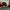 LEGO® Icons Holiday Express Train