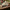 LEGO® Icons Holiday Express Train