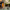 LEGO® ICONS™The Lord of the Rings: Balrog™ Book Nook