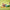 LEGO® DUPLO™ 3in1 Animals on Wheels