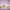 LEGO® DUPLO™  Hopsy's Castle Game