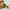 LEGO® DUPLO® Bluey: Ice Cream Trip with Bluey