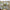 LEGO® Icons The Lord of the Rings™: Rivendell™