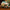 LEGO® Icons Holiday Main Street