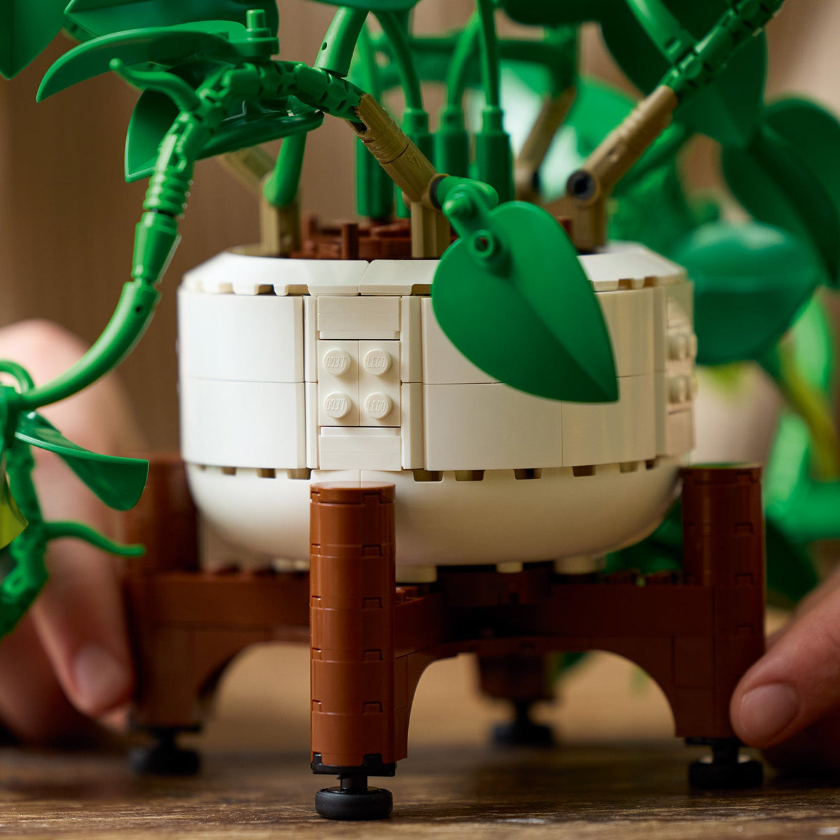 LEGO® Botanicals Hanging Golden Pothos