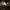 LEGO® Icons Holiday Main Street