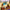 LEGO® Star Wars™ SMART Play™: Mos Eisley Cantina™