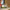 LEGO® Architecture Neuschwanstein Castle