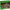 LEGO® Minecraft® The Trial Chamber