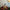 LEGO® Minecraft® The Warden Encounter