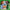 LEGO® Minecraft® The Creeper™