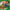 LEGO® Minecraft® Advent Calendar 2025