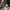 LEGO® Ideas | Disney Pixar Luxo Jr.