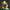 LEGO® Ideas | Disney Pixar Luxo Jr.