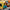 LEGO® Ideas Italian Riviera
