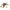 LEGO® 71833 NINJAGO® Ras and Arin’s Super Storm Jet