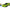 LEGO® Speed Champions Dodge Challenger SRT Hellcat Sports Car