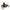 LEGO® 31159 Creator 3-in-1 Wild Animal: Surprising Spider