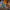 LEGO® Creator 3-in-1 Haunted Mansion