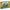 LEGO® Creator 3-in-1 Wild Animals: Majestic Rhino with Birds