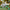 LEGO® Creator 3-in-1 Wild Animals: Majestic Rhino with Birds