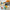 LEGO® Creator 3-in-1 Wild Animals: Tropical Toucan