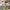 LEGO® Creator 3-in-1 Wild Animals: Tropical Toucan