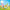 LEGO® Creator 3-in-1 Unicorn Castle