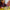 LEGO® Art: The Fauna Collection - Tiger