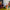 LEGO® Art: The Fauna Collection - Tiger