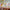 LEGO® Creator 3-in-1 Unicorn Castle