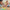 LEGO® Super Mario™ Mario Kart™ – Wario & King Boo