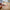 LEGO® Speed Champions Porsche 963