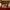 LEGO® Ideas Italian Riviera
