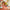 LEGO® Super Mario™: Mario Kart™ – Interactive LEGO® Mario™ & Standard Kart