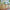LEGO® Creator 3-in-1 Wild Animals: Tropical Toucan
