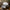 LEGO® Icons Star Trek: U.S.S. Enterprise NCC-1701-D™