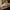 LEGO® Icons Holiday Express Train