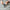 LEGO® Speed Champions 007 Aston Martin DB5
