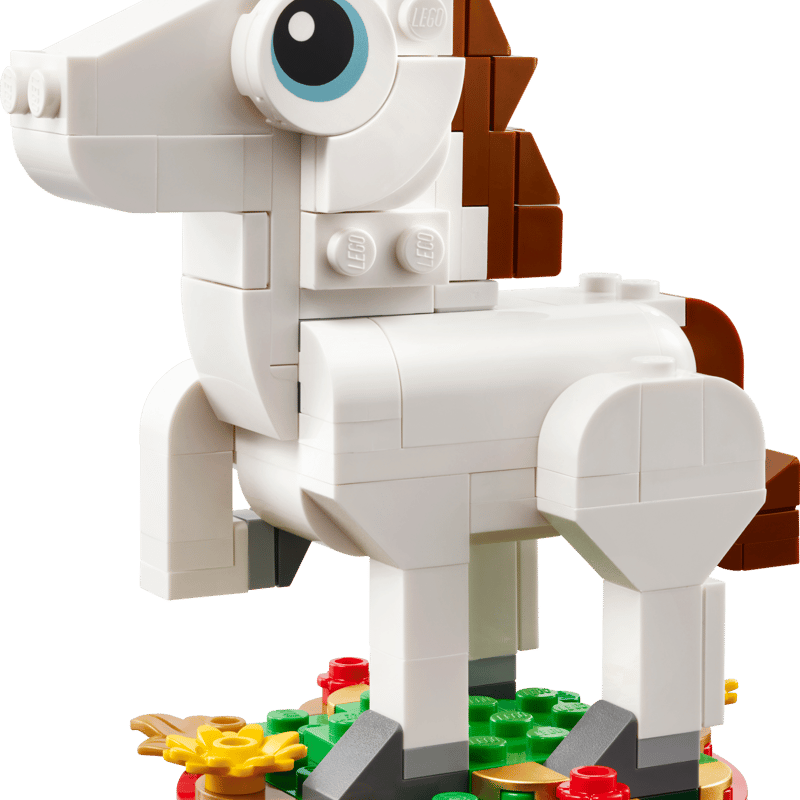 Year of the Horse